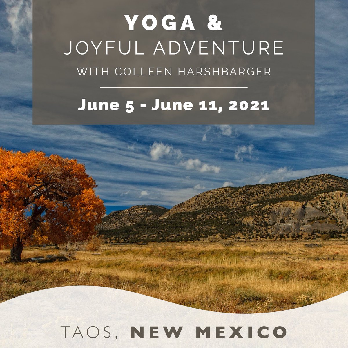 cmhharshbarger's tweet photo. Women's Yoga &amp; Adventure Retreat - *https://t.co/zaCXf8M8DZ* https://t.co/3V6k39sPoO