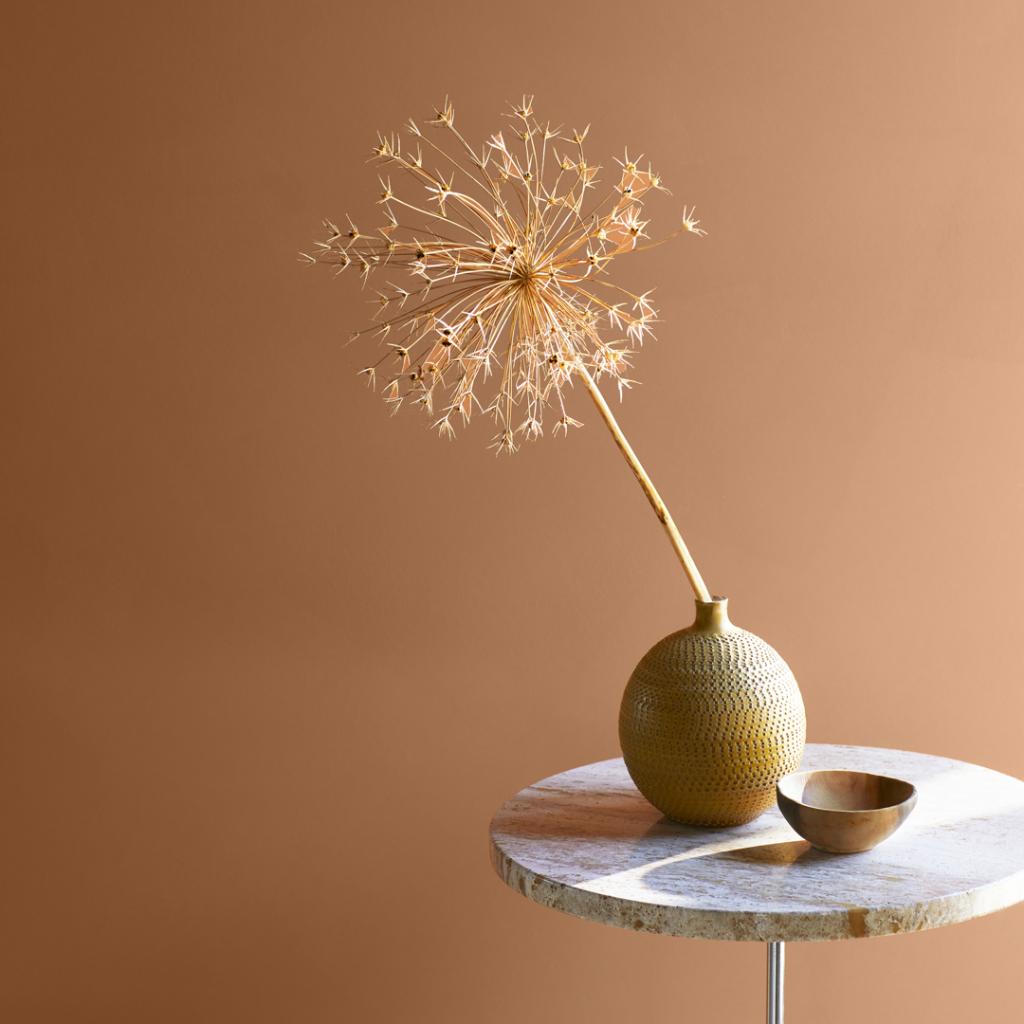 Benjamin_Moore's tweet photo. You don't have to be a pottery pro to appreciate Potters Clay 1221, a deep, sunbaked orange from our #ColorTrends2021 palette. Use it anywhere you're looking to create an earthy, grounded sense of calm.
.
(WALL) Potters Clay 1221, Aura®, Eggshell https://t.co/L856gIwZI3