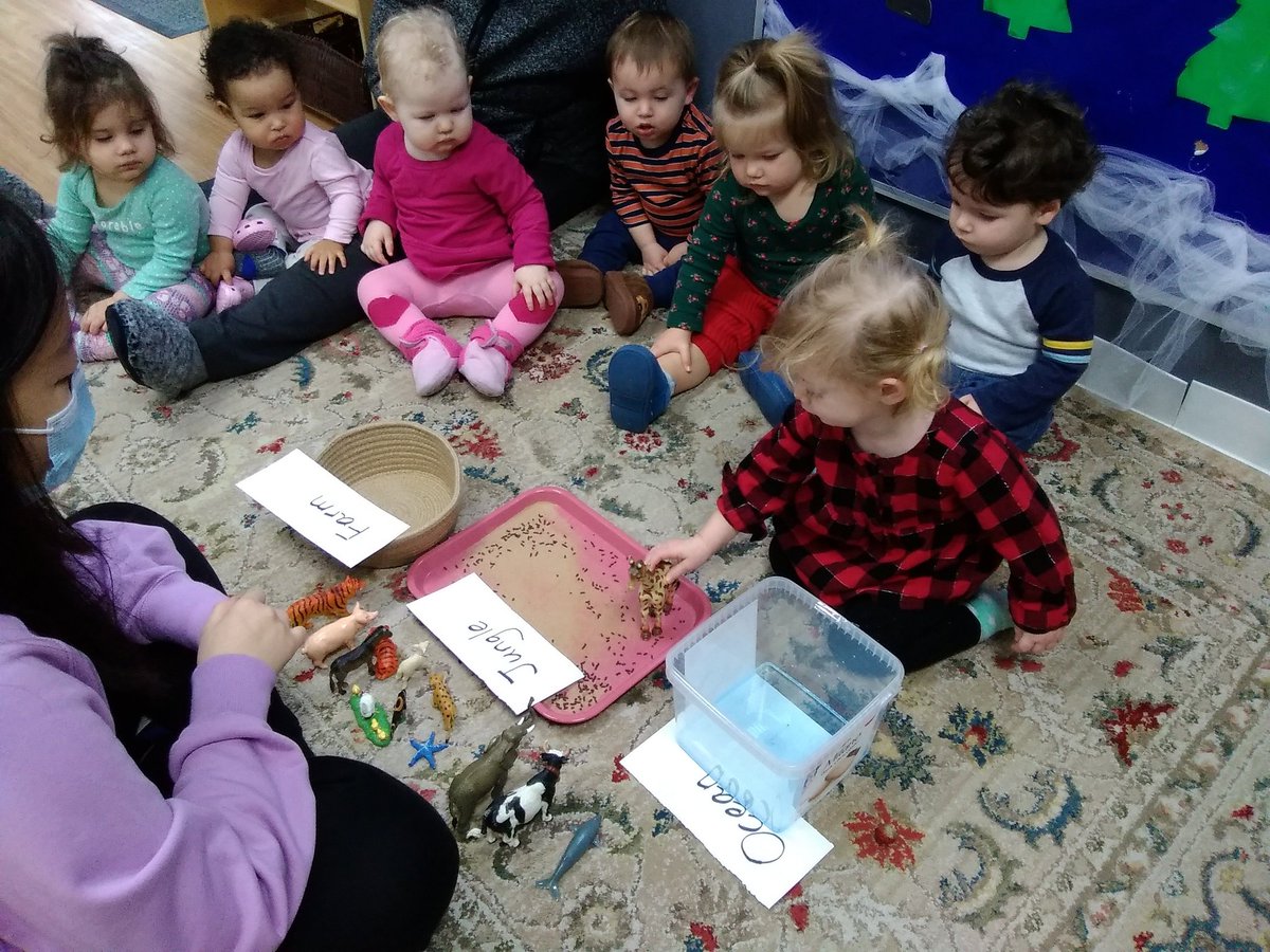 BritleysC's tweet photo. Learning about different types of animals 🦁

#montessorichild #languagelearning #sortingactivity #animallesson https://t.co/JIVJHgKVrU