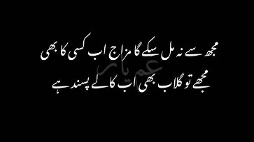 پیارے پیارے 💞 ❤️ لوگوں کو سپورٹ کریں اور سپورٹ بیک لیں 💯

<a href="/Superrrr_Novaa/">Lyba Naeem Chauhan</a> 
@1__usama 
<a href="/peacehopegrow/">Shama roshani</a> 
<a href="/BismaSajjadPAK/">Bisma Sajjad ( 23rd 🐒 Ka 🎂 )</a> 
@80Rubab 
@966_bp  
<a href="/Kaalasiah1/">Kaala Baloch (Behind You Skipper)</a> 
@FOF_pk
<a href="/Khushi0Shah/">Khushi Shah</a>
@economist_alii 
<a href="/KashmirDawn/">Dawn Of Kashmir 🇵🇰</a> 

👇👇  👇👇
<a href="/T_Smile111/">🇵🇰 محمّد طلحہ</a>