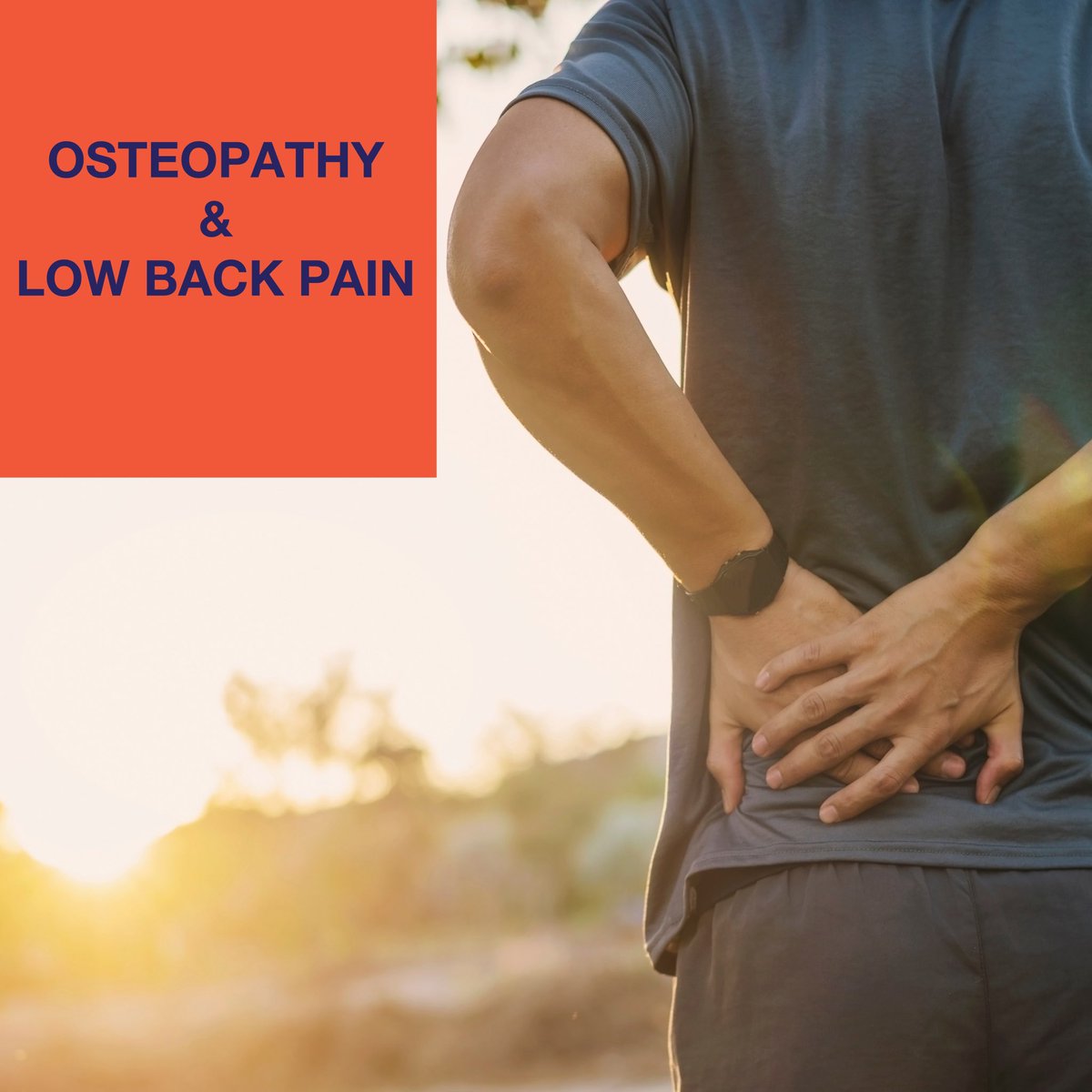 Osteopathy_BC's tweet photo. This month we’ll be sharing with you some information on how Osteopathy can help you with low back pain (LBP) and why you should consult an Osteopathic Practitioner should you be suffering from LBP:

https://t.co/SpctxhHEIq

#oeteopathybc #lowbackpain https://t.co/au15CMV4hd