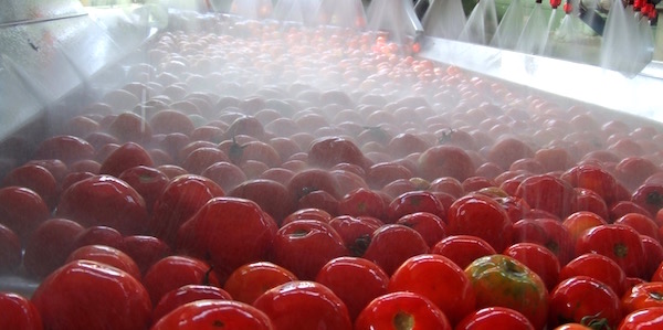 IvanhoeInd's tweet photo. We manufacture #antifoams #defoamers #emulsifiers #SiliconeRelease agents used by #FoodProcessors as process aids & direct #FoodAdditives
Our food products are #kosher #halal & include #CleanLabel options such as #organic #nonGMO & #NSFcertification
https://t.co/AIOjmzcyUR
#GFSI https://t.co/oloOD1dYnA