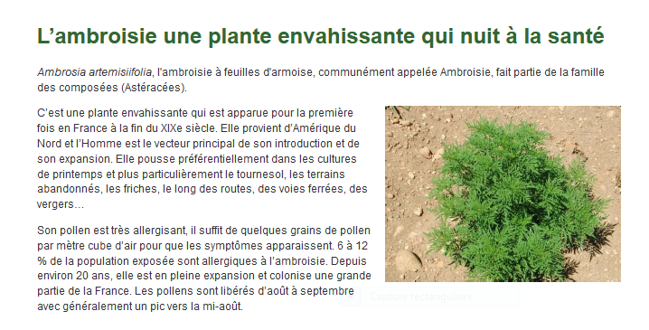 ie36942664's tweet photo. Mercredi 24/02 #ambroisie notre nouvelle animation et ses ateliers ouverts à tous. Vous apprendrez à identifier cette invasive allergène, à participer à une action environnementale et de santé👩🌾RV marché bio de Billère #pauagglo report si pluie #CPIE https://t.co/6pOSLpmgS5 https://t.co/4lU4zFk30O