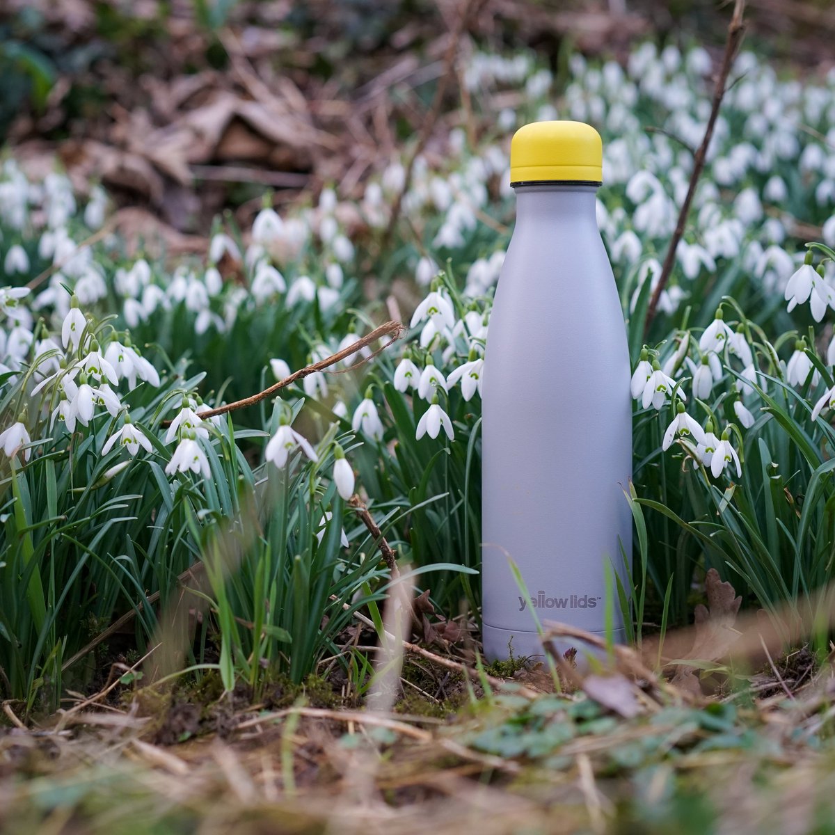 Spring is coming, a time for change - a time to swap plastic bottles for a reusable alternative. 👍 Get yours today at yellowlids.com  - #SpringIsComing #plasticpollution #Sustainability #reusable #plasticwaste