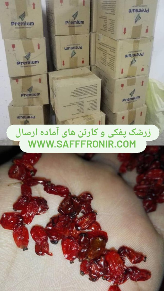 saffrontenj's tweet image. مژده مژده برای شما همراهان و نمایندگان گرامی
زرشک پفکی و تازه امسالی، آماده فروش و ارسال می باشد. برای سفارشات بالای 50 کیلو تخفیف خوبی خواهیم داد. لازم به ذکر است حداقل سفارش 10 کیلو می باشد و همچنین هزینه حمل به عهده شما خواهد بود. جهت سفارش با شماره 09058913532 تماس بگیرید.