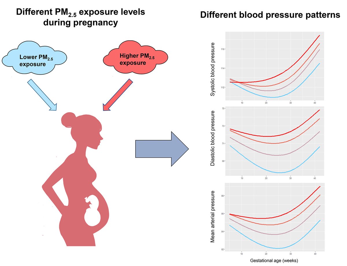 Hypertension tweet media