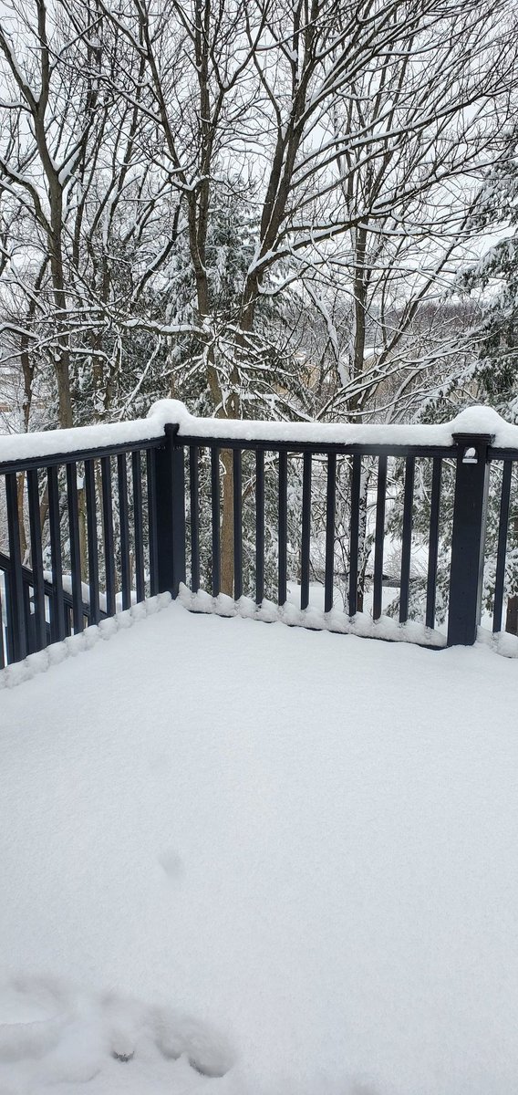 No inspecting in this today.  Nothing to do but get some lime juice and tequila and put that white stuff to good use!  #homeinspection #realestate #NationalMargaritaDay #snowgaritas 😁🍹