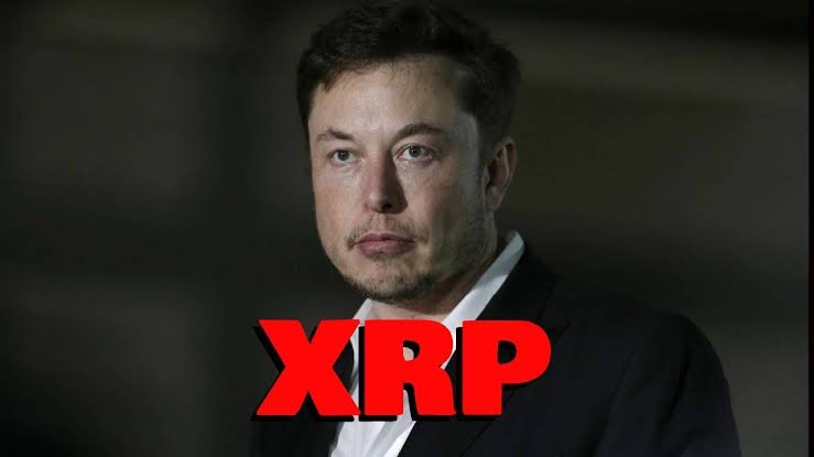 #Ripple traders are looking forward to seeing <a href="/elonmusk/">Elon Musk</a> 's profile uptaded as #XRP 🚀🚀🚀