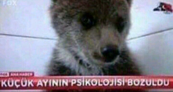 Smeyyakblt's tweet image. Mood ; #ertelemedeğiliptalistiyoruz