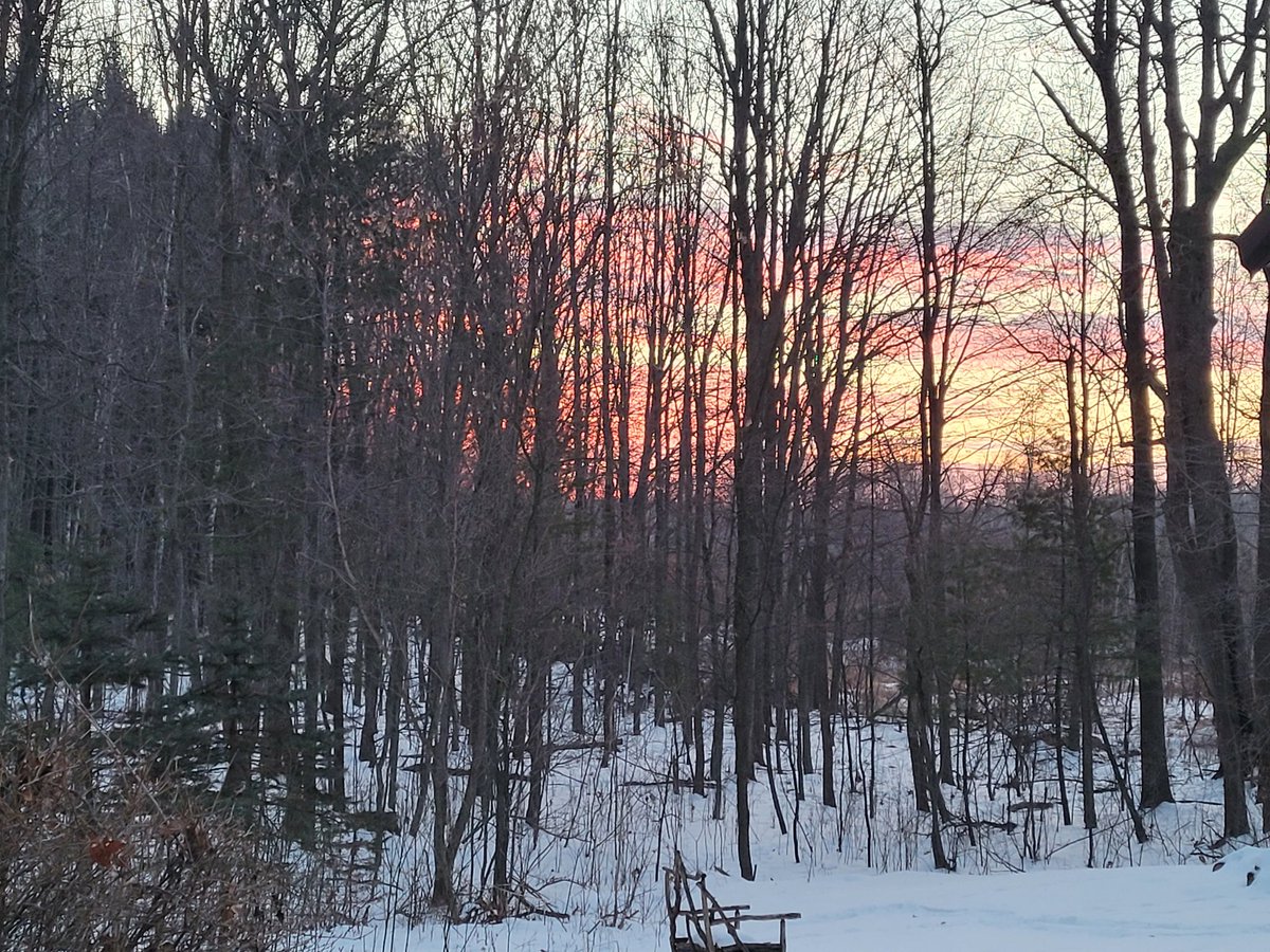 keenerang's tweet photo. Enjoying back yard visitors because who wouldn't enjoy this view? https://t.co/cdsOXb3ndk