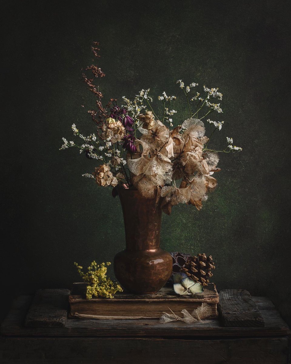 Wshing_Well's tweet image. My ever growing love for dead crap 🥀🍂
•
#stilllifephotography #textures #handpaintedbackdrop #canon @KelbyOne