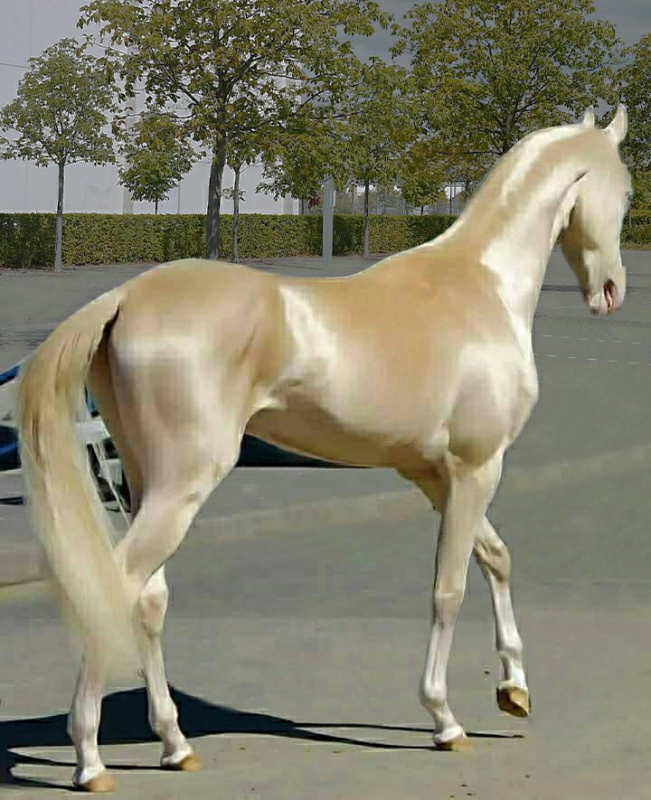 Rotem MorHaim (@rotem21) on Twitter photo 