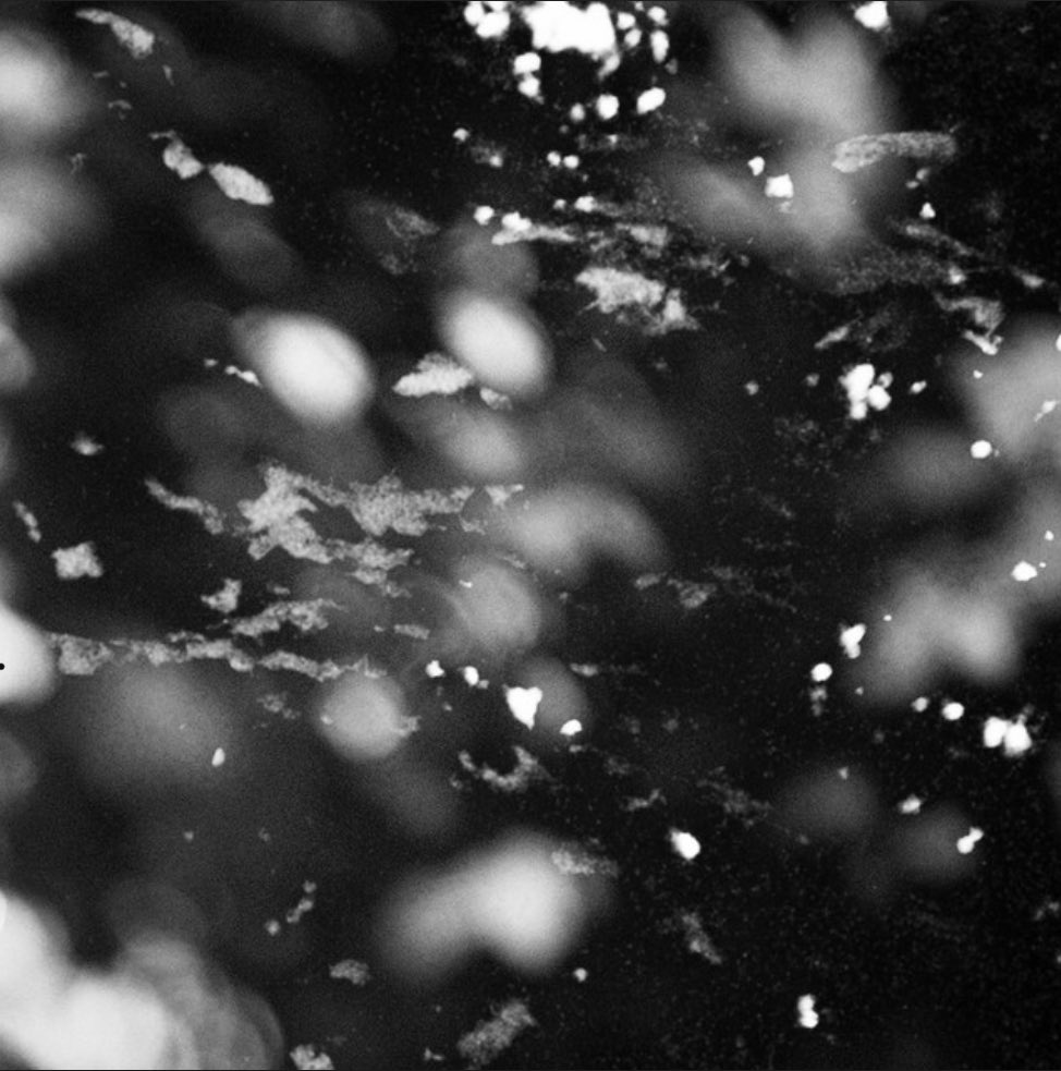 wrong_colour's tweet image. Apogee - herbal tea [@herbaltea_hel] 

Listen in our #wrongcolour playlist: tinyurl.com/y6jb8wyn