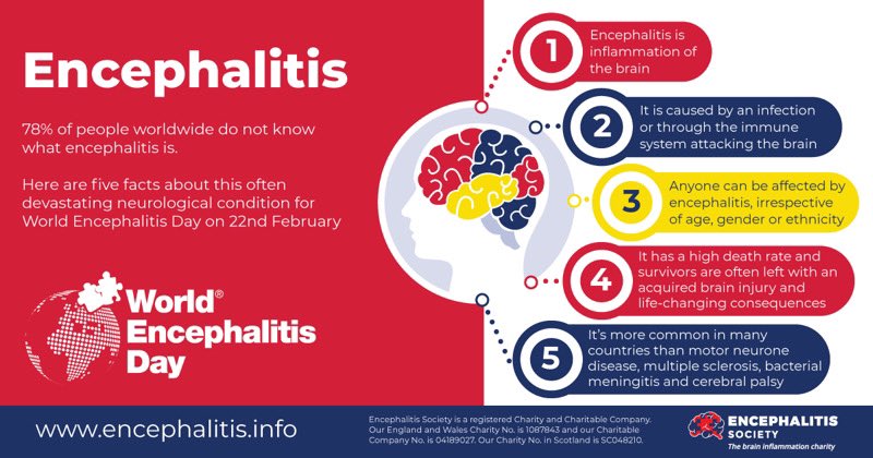 78% of people worldwide do not know what encephalitis is. #PANS #PANDAS #autoimmuneencphalitis #encephalitis #worldencephalitisday #viralinducedencephalitis #ae #brain #inflamation #braininflammation #psychosis #psychosisawareness #impairedmemory #impairedcognition