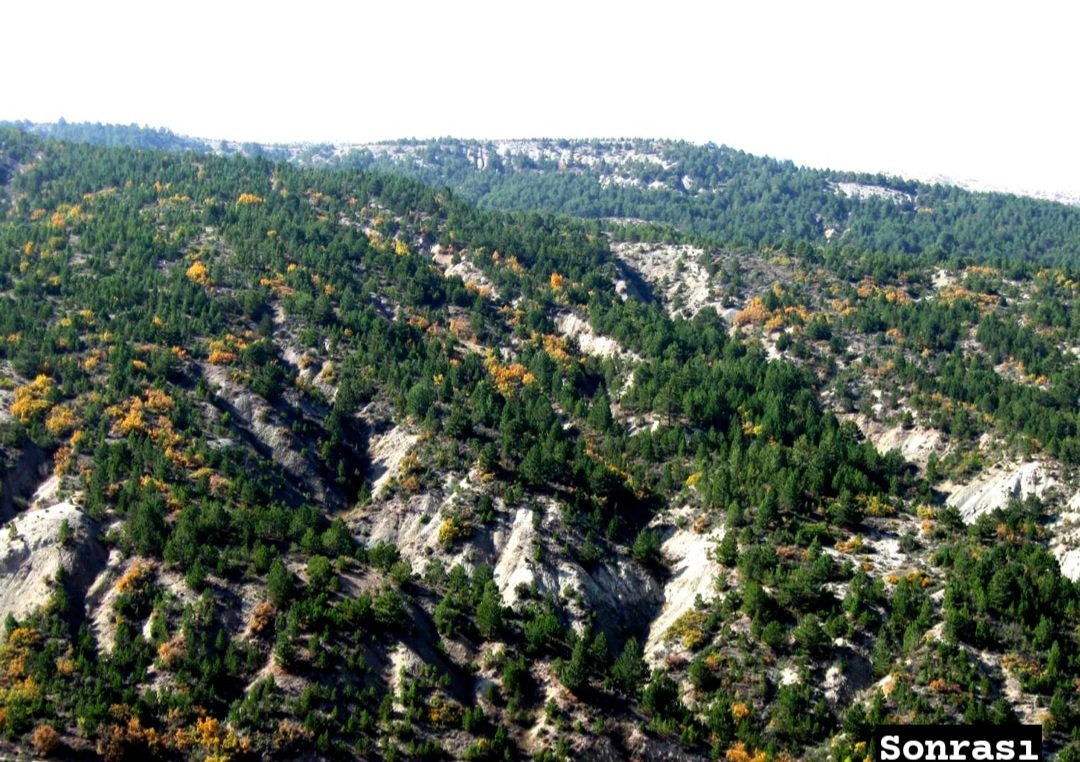 Şu gördüğünüz topraklarda verilen emeğin tarifi yok.📍Isparta