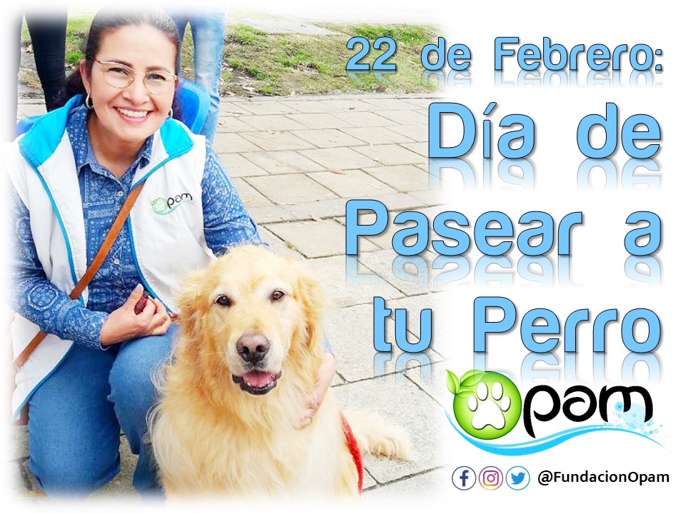 FundacionOPAM's tweet photo. En el Día de #PasearAlPerro te recomendamos:
🐶Procura un mismo horario para sacarlo y usa tu tapabocas
🐶Siempre recoger sus desechos y depositarlos en los contendores dispuestos para ello
🐶Al llegar a casa, limpiar sus patitas con un trapito húmedo SIN alcohol
#Tips #lockdown https://t.co/lwUjWEOdTf