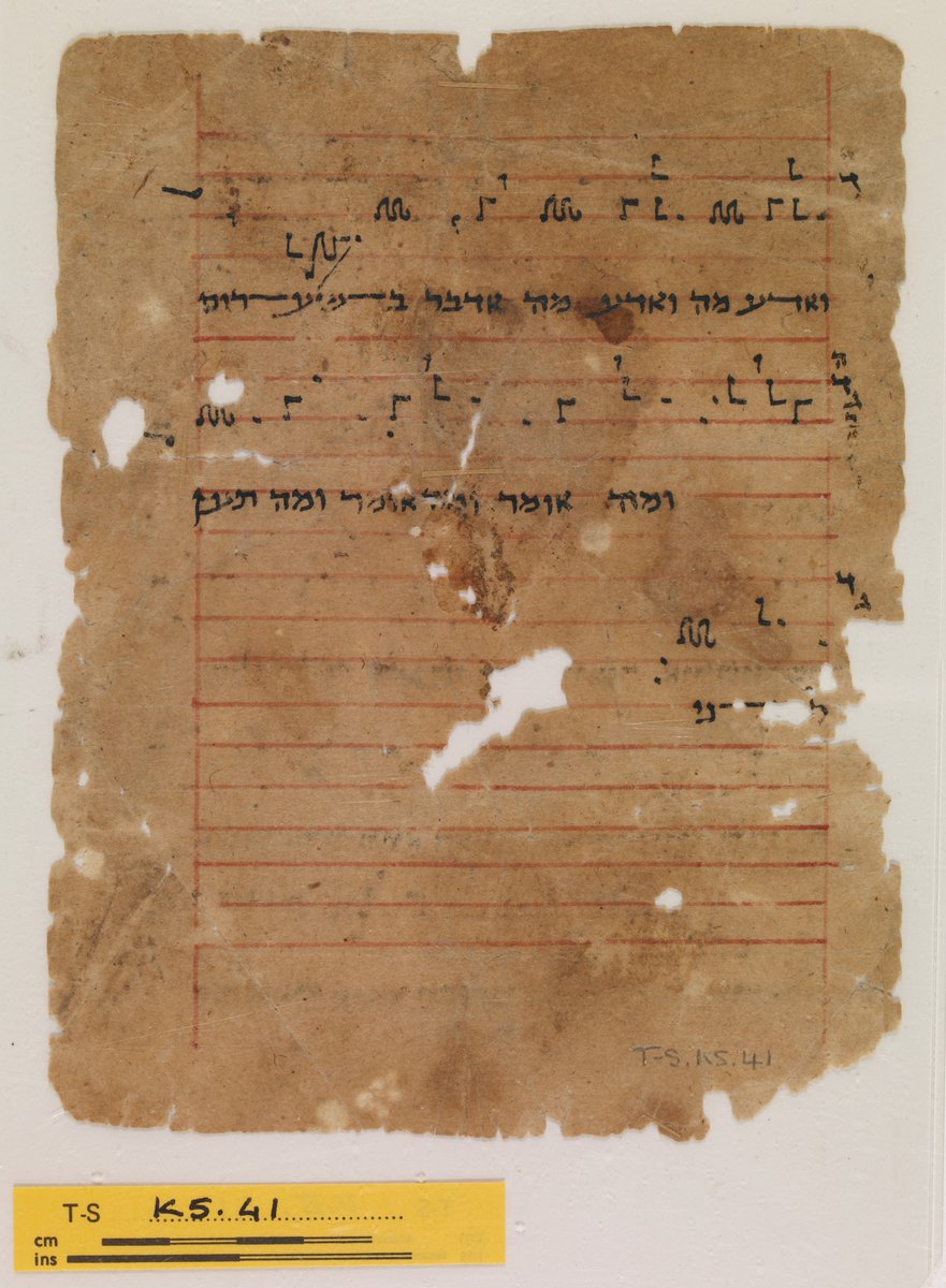 Princeton Geniza Lab tweet media