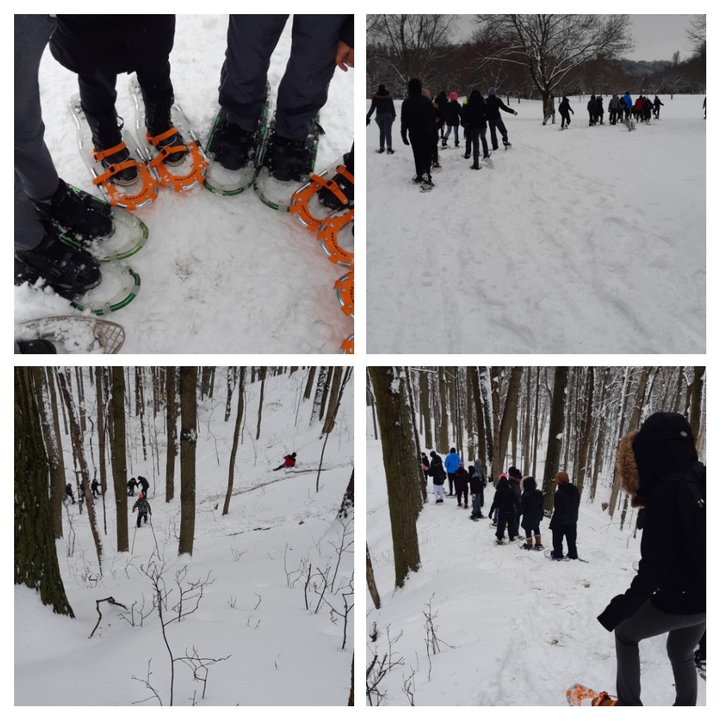 Snowshoeing today. So much fun!!!
#morningsidepark @tdsb @HPE_TDSB @WestHillSAC @TDSB_MHWB @WHCIguidance