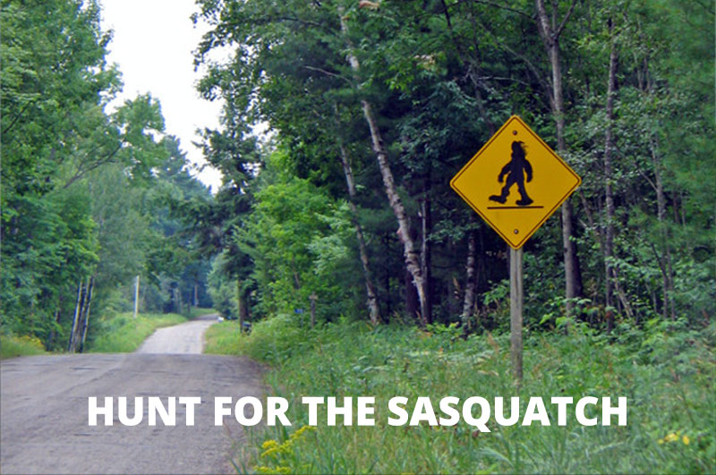 wingsandslicks's tweet photo. Springbreak 2021:  HUNT FOR THE SASQUATCH.  New for 2021,  our latest adventure gets your gang on the search for the mythical Bigfoot. Available through March, Easter and Father's Day. Social distanced. Loads of fun.  https://t.co/g7eIu3Lt38 https://t.co/ffbZjZEDhs