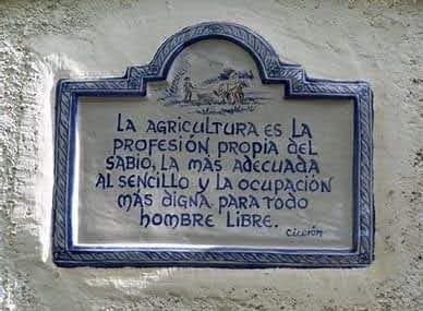 saulvamir's tweet photo. Felicidades a mi querida Universidad Autónoma Chapingo por su 167 aniversario y todos los agrónomos y colegas profesionales  del sector agropecuario que trabajamos día a día, porque éste sea mejor.  Feliz el día del agrónomo! https://t.co/JCiKg25voM