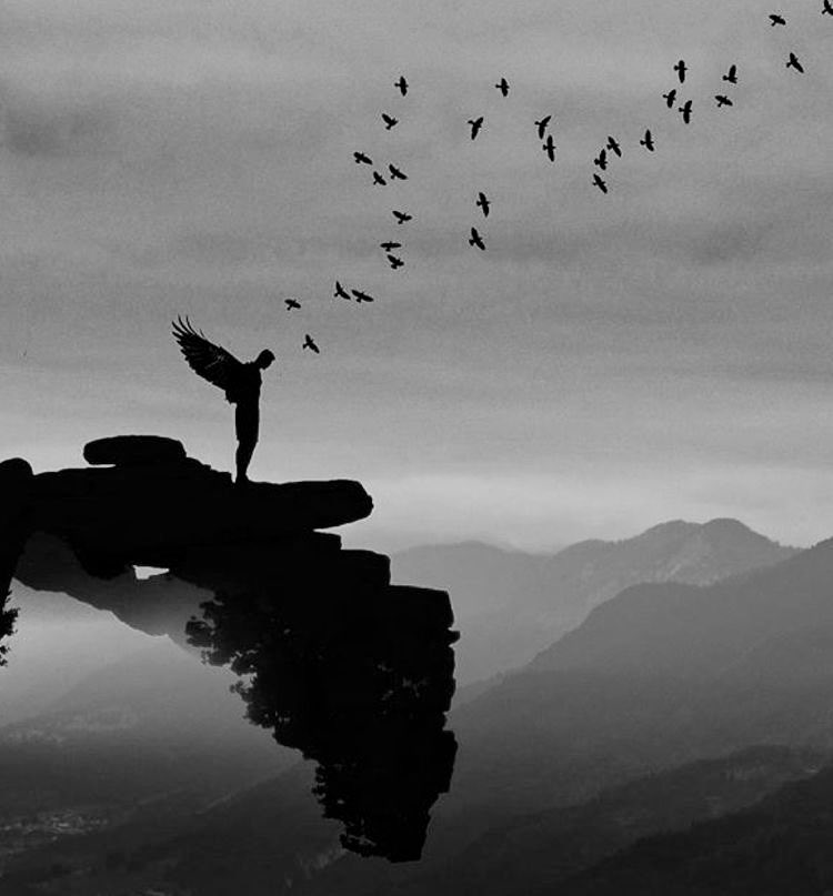 _Milo_Fernandez tweet picture