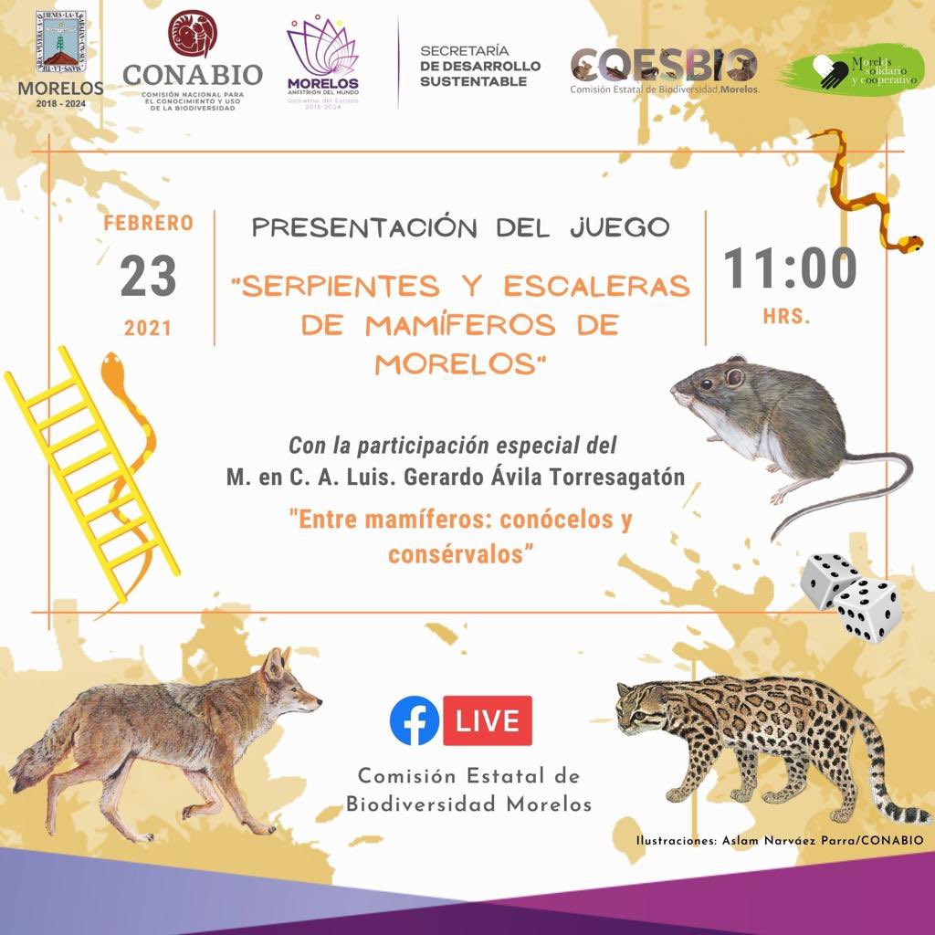 NODESS: Morelos Solidario y Cooperativo tweet media