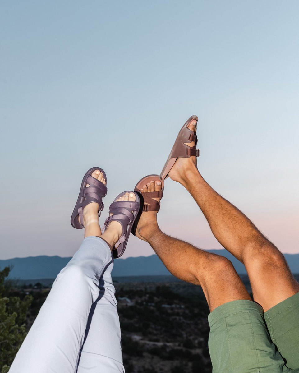 Backbone Media tweet media