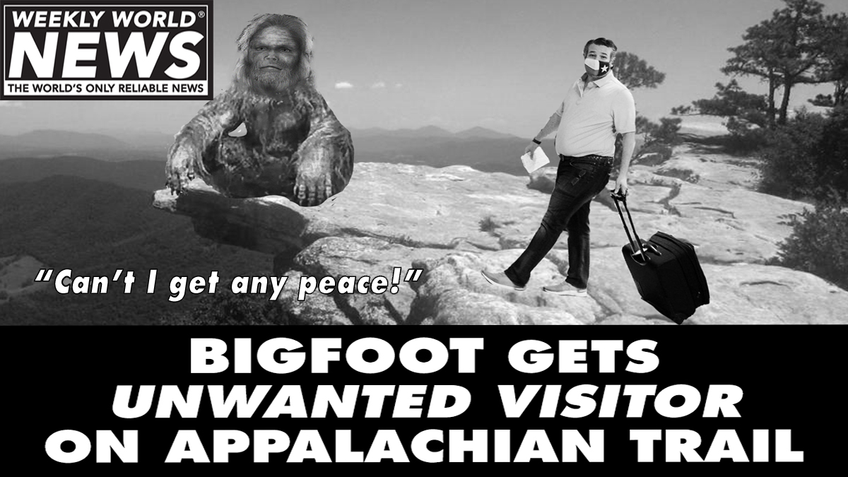 weeklyworldnews's tweet photo. Bigfoot has been in seclusion since the election. He just wants some peace and quiet!
#bigfoot #appalachiantrail #bigfootontrail #unwantedvisitor #whereisTedCruz #tedcruz https://t.co/knHi4j1S5R