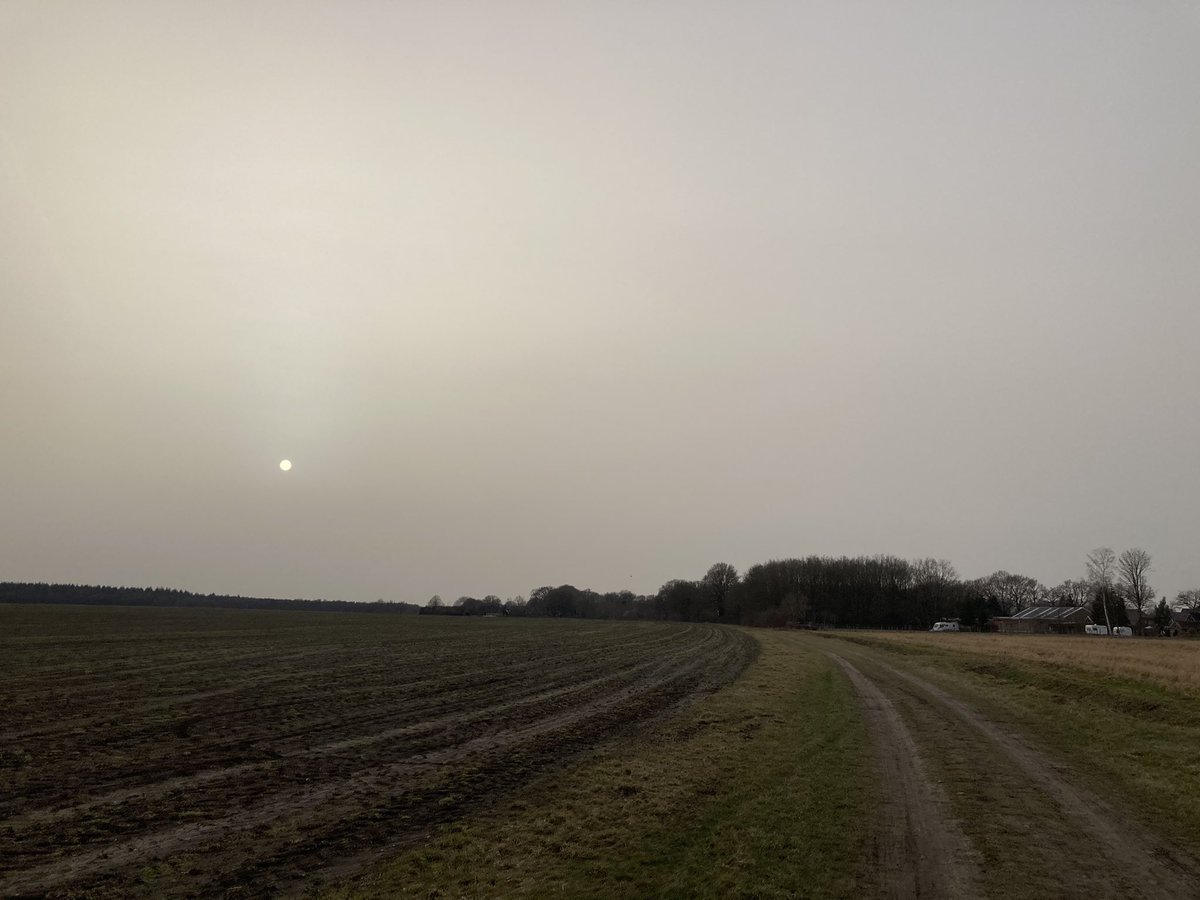 Lawendel tweet media