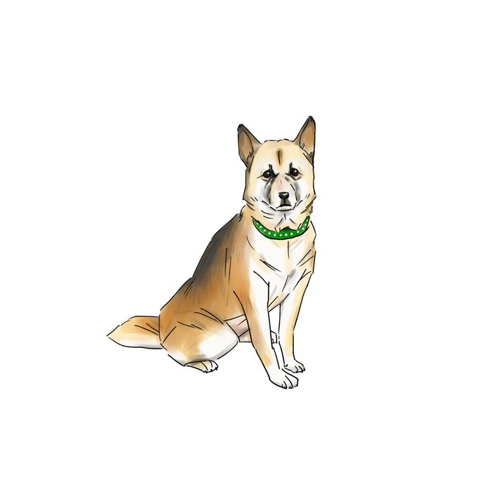 家なき子のtwitterイラスト検索結果 家なき子のtwitterイラスト検索結果