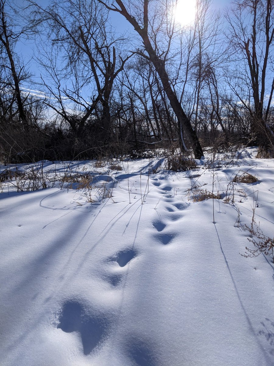 Jae Danzig π² (@jaedanzig) on Twitter photo Who walked this way before, then left the path for the unknown? Who walked this way before, then left the path for the unknown?