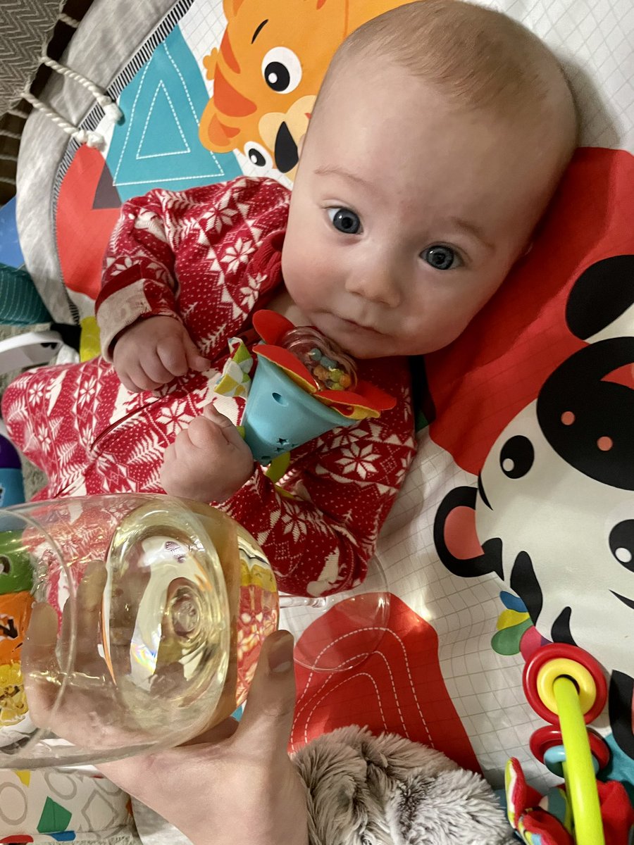 Elizabeth Person tweet media