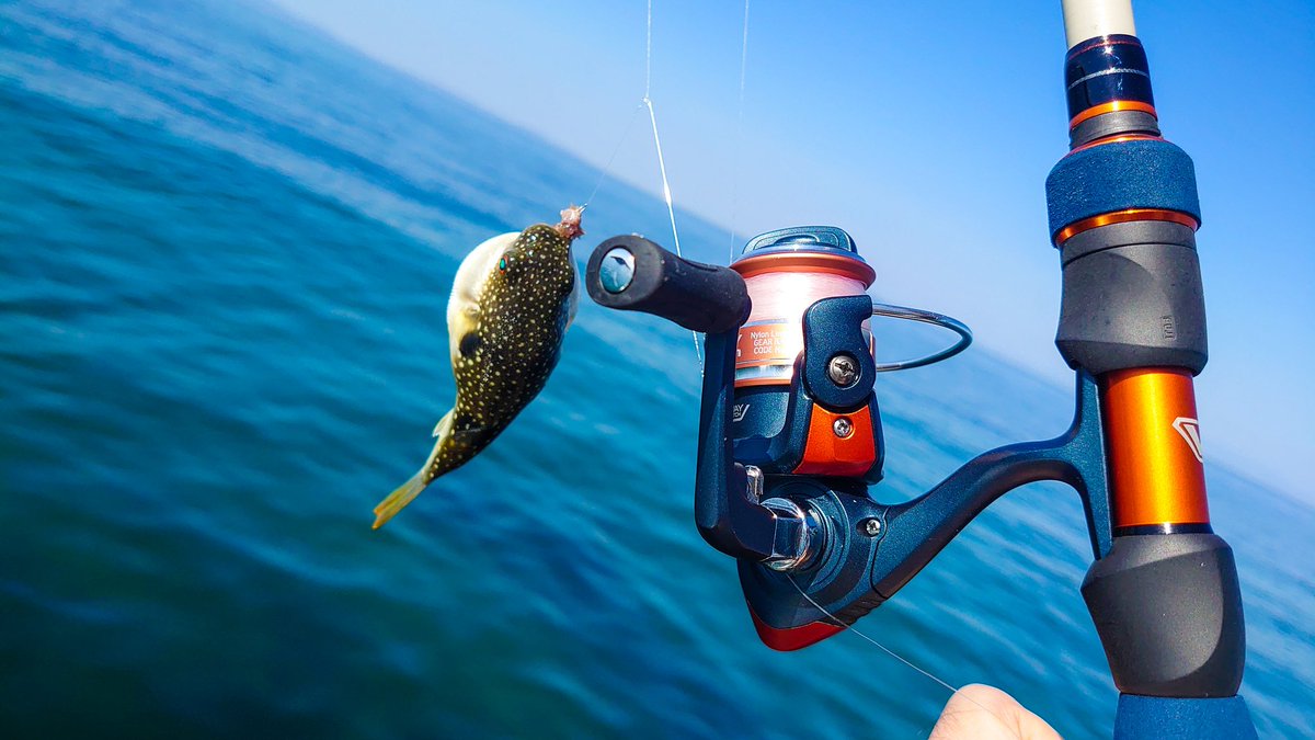 Haischlib プロックス Ar Twitter