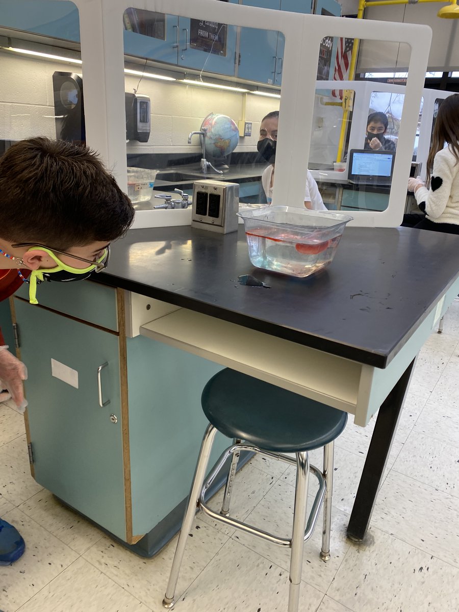 Tracey Ann Ferguson tweet media