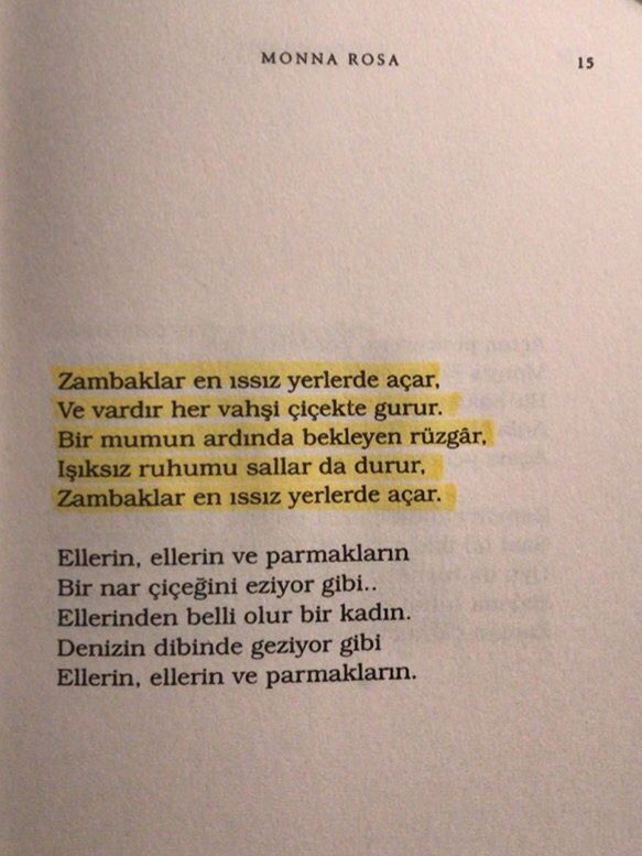 seydaer23's tweet photo. #monnarosa #SezaiKarakoc 
En sevdiklerimden 💛 https://t.co/bEseC8Zq57