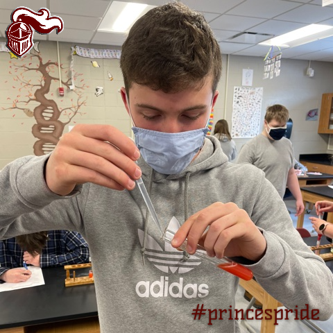 PrincevilleCUSD's tweet photo. Mrs. Sudrzynski's Biology classes extracted DNA from strawberries in class today! This lab tied up their unit on DNA and showed them how DNA is in all living things. #princespride #princeslearning https://t.co/ZbPiqqLGJB