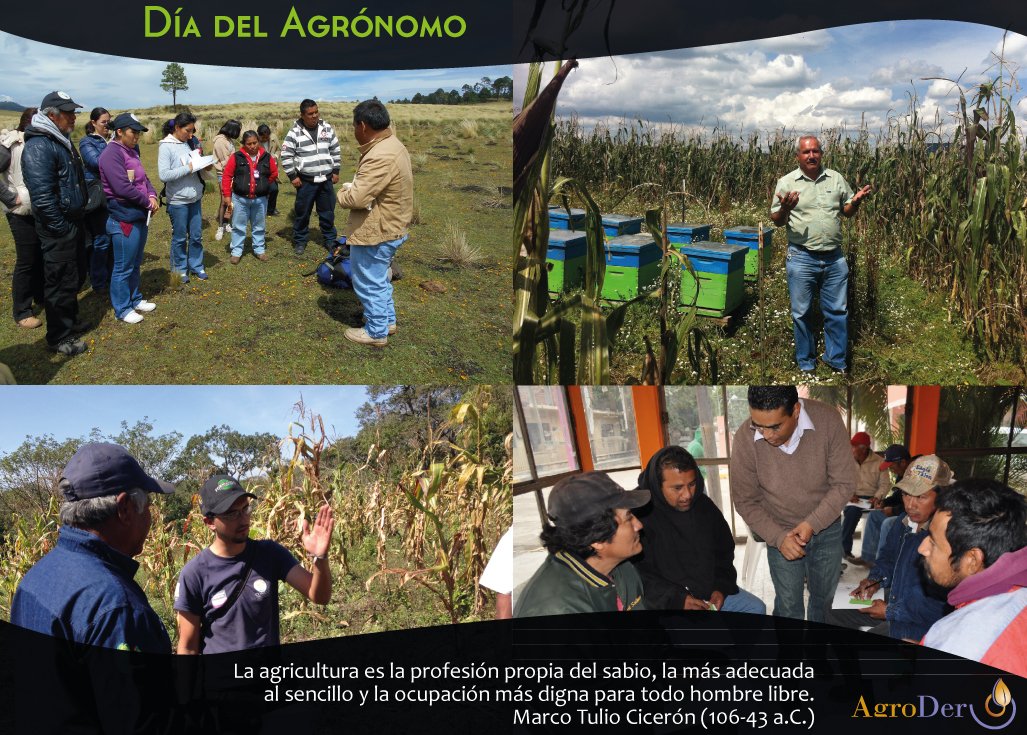 El #CampoMexicano es un sector que crece, y lo hace de la mano de miles de Ing. Agrónomos.

Hoy reconocemos su incansable labor.

¡Sigamos acercándonos a la #SeguridadAlimentaria, fomentando buenas prácticas y haciéndolo con #ProducciónSostenible!

¡Feliz #DíaDelAgrónomo!