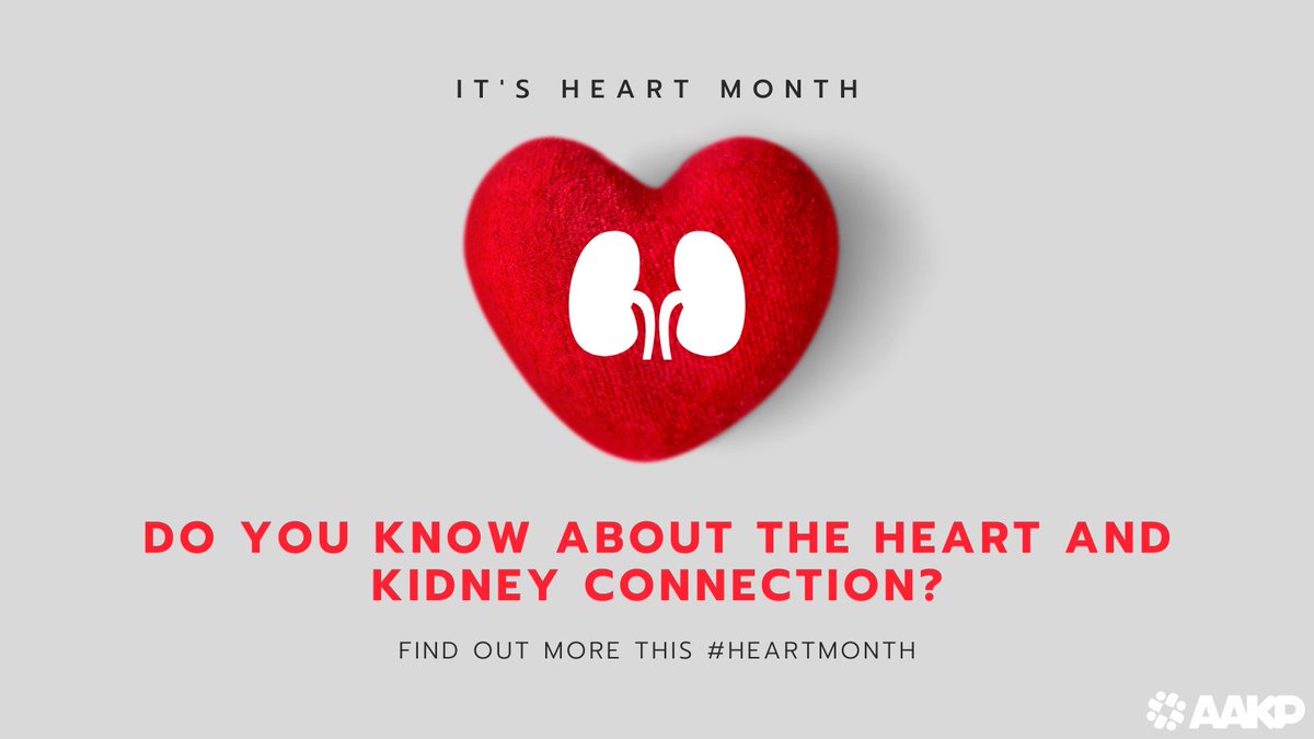 KidneyPatients's tweet photo. AAKP Blog! A Connection You Should Know About–Heart & Kidney Disease: https://t.co/IOXadTe4i6 #HeartMonth #BeKindToKidneys @MedOsprey https://t.co/Hz5H7nWWb8