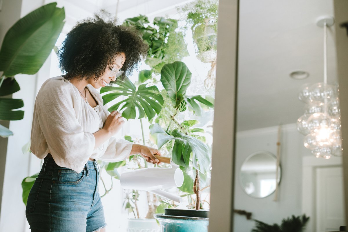 Did you know science shows houseplants can brighten your mood and focus, improve your health, and enhance your interior space? 

Check out our latest blog post for tips and tricks on how to keep your plant babies healthy and happy.

brokerlink.ca/blog/join-the-…

#indoorplants #plants