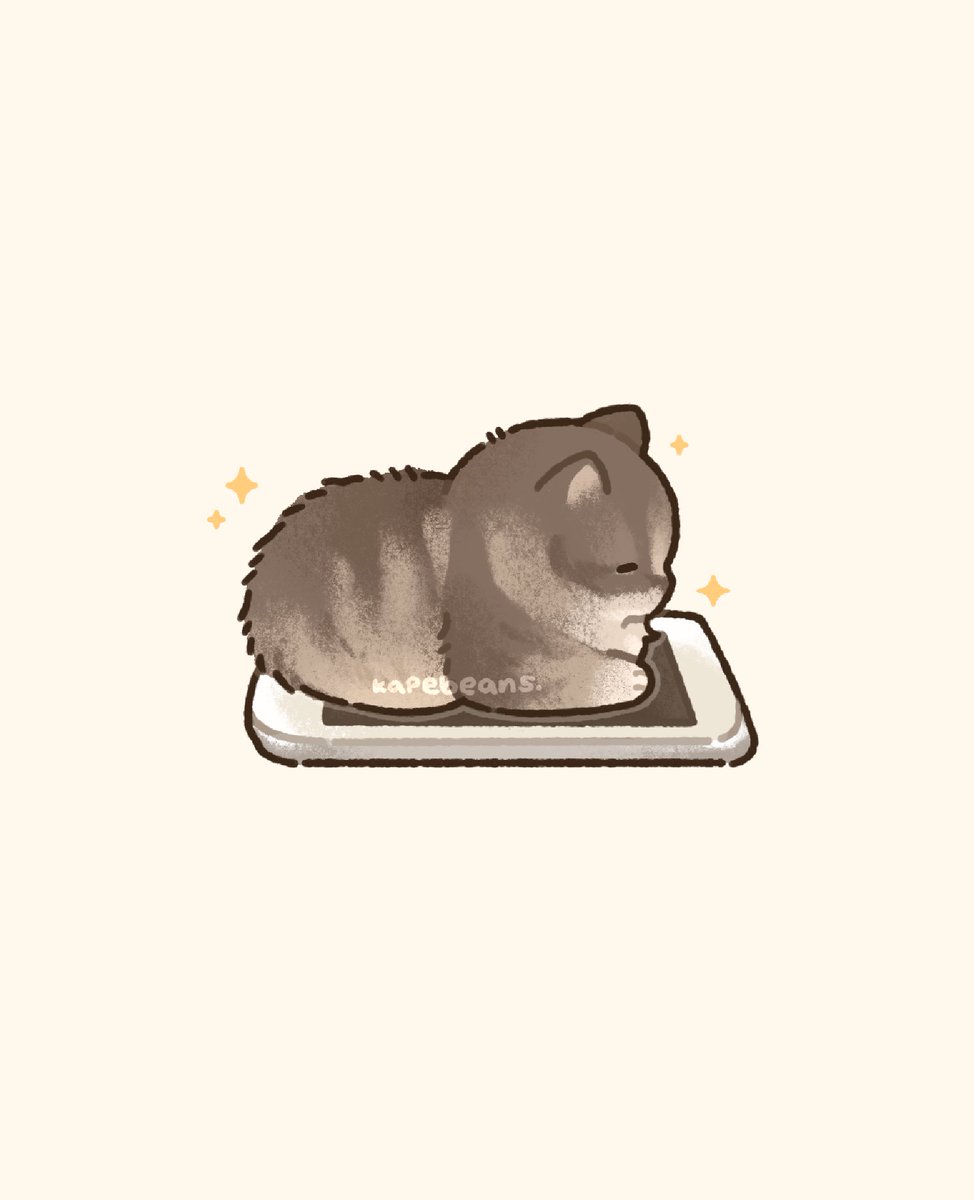 bib π₯π comm waitlist open! (@kapebeansies) on Twitter photo 2021-02-22 22:28:02 personal phone warmer personal phone warmer
