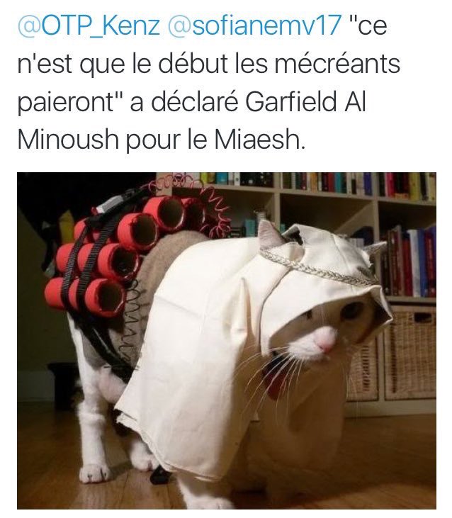 IvanGonzalez217's tweet photo. J’ai jamais trouvé mieux que ça https://t.co/BR7ijmxYyp