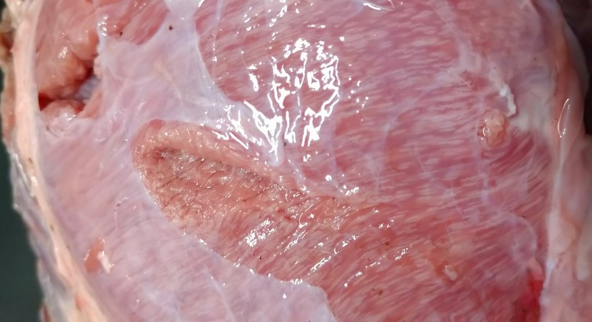 閲覧注意 美味しそうな霜降りの鹿肉に見えるけど実は 野生肉は絶対に生食しないで Togetter 閲覧注意 美味しそうな霜降りの鹿肉に見えるけど実は 野生肉は絶対に生食しないで Togetter