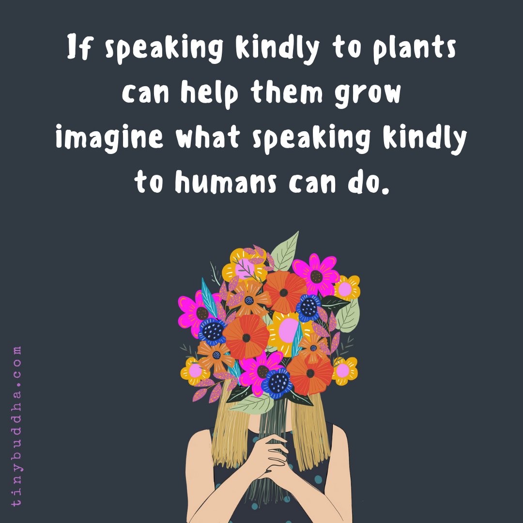 tinybuddha's tweet image. If speaking kindly to plants can help them grow, imagine what speaking kindly to humans can do.