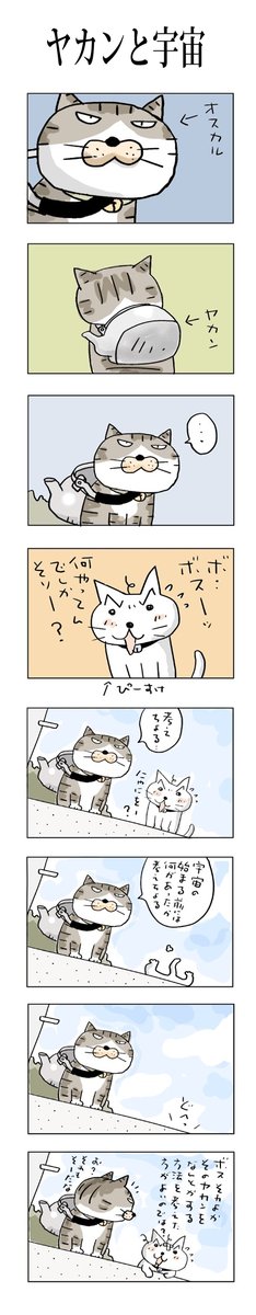 ヤカンと宇宙
#こんなん描いてます
#自作マンガ #漫画 #猫まんが 
#4コママンガ #NEKO3 