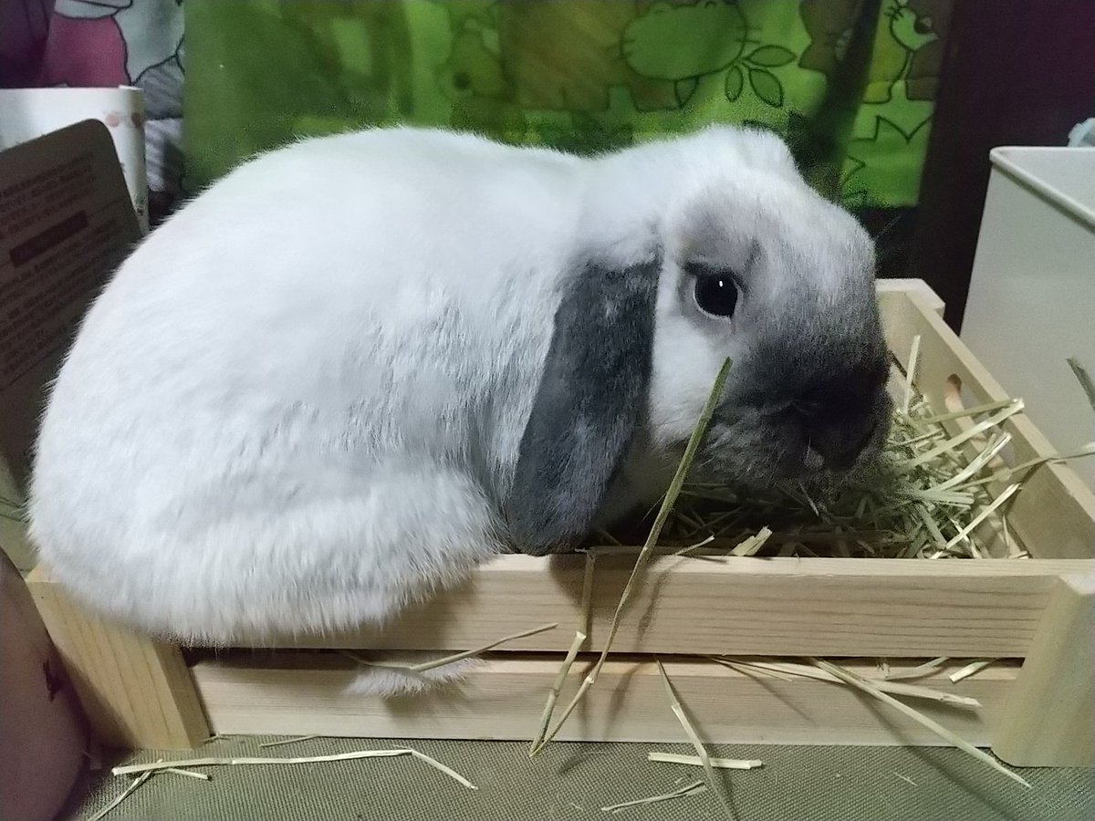 まりの るな るる Marino Lunalulu Twitter
