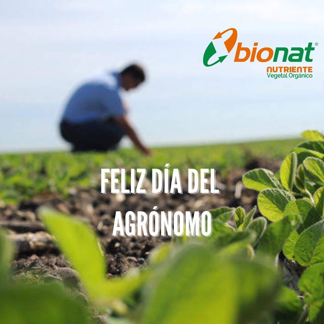 ORGANICOSBIONAT's tweet image. A crecerrr cosas!!!! Y todos!!