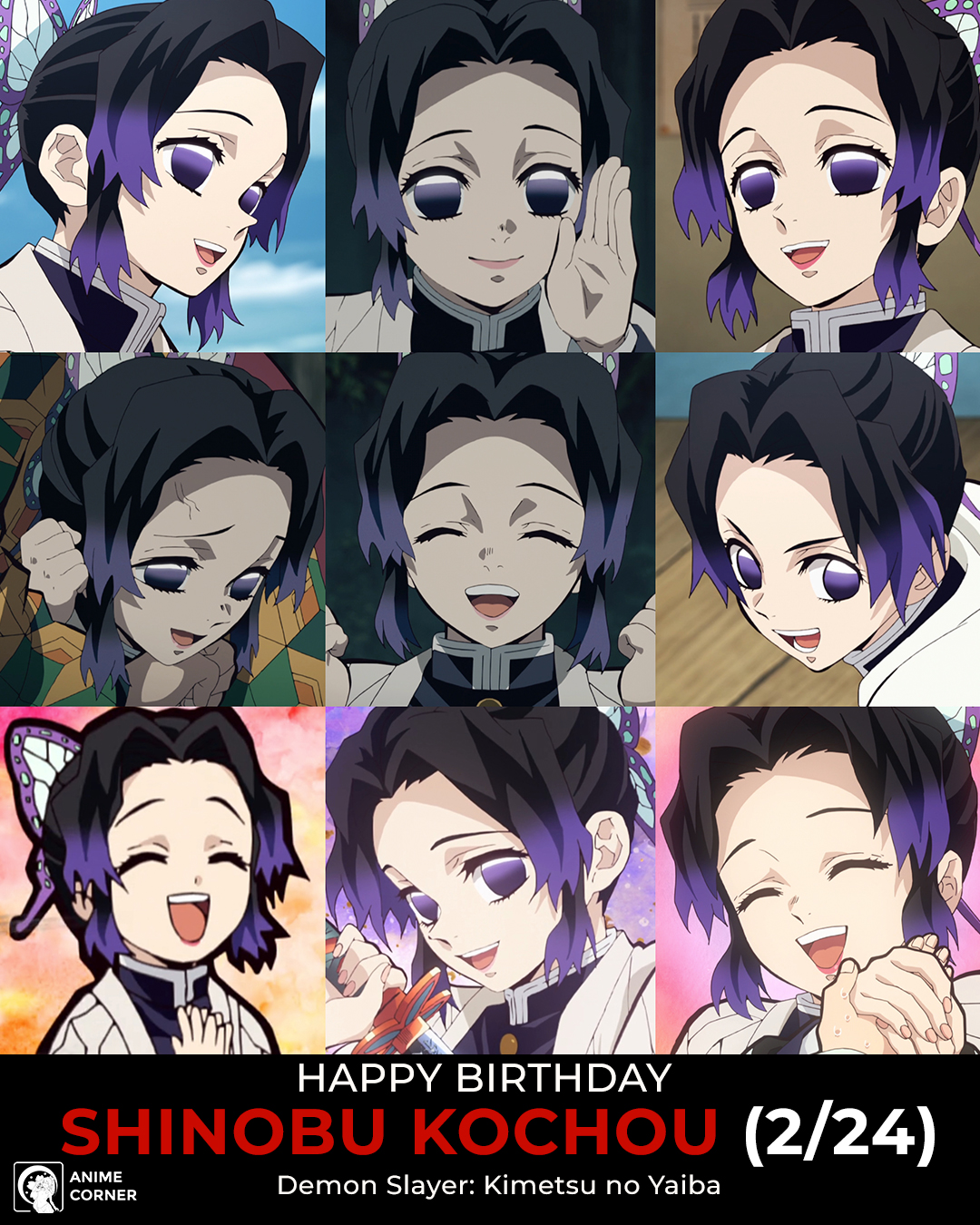 Demon Slayer: Kimetsu no Yaiba Celebrates Shinobu's Birthday With