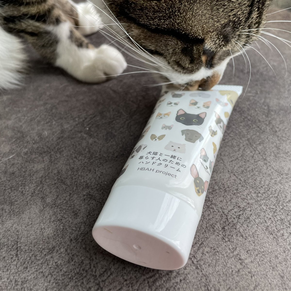犬猫と一緒に暮らす人のためのハンドクリーム