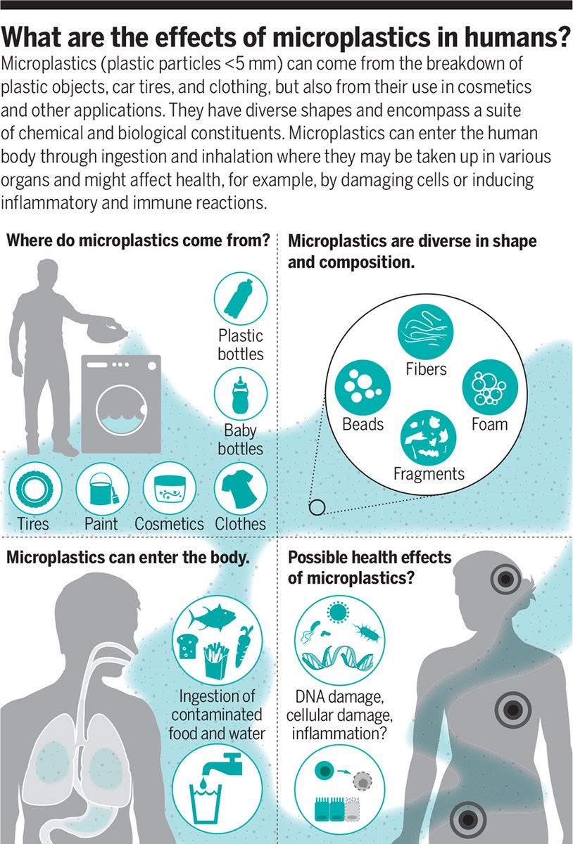 Microplastics have found their way into virtually every nook and cranny on Earth—including inside the human body—which has raised significant concerns about their potential effects on human health and wellbeing. Read more in a new #SciMagPerspective: fcld.ly/67nx6lc