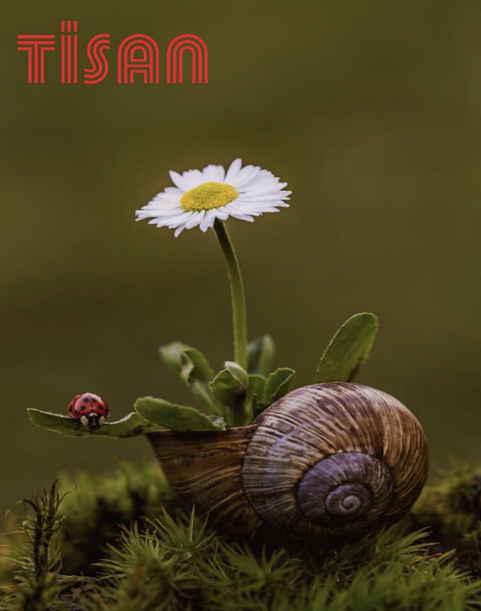 IndustriesTisan's tweet photo. Günaydın İzmir .Çevremizi koruyalım .Korumayanları Uyaralım #guenaydin #çevre #tisansweeper #doğa https://t.co/sAm4gxY9Bx